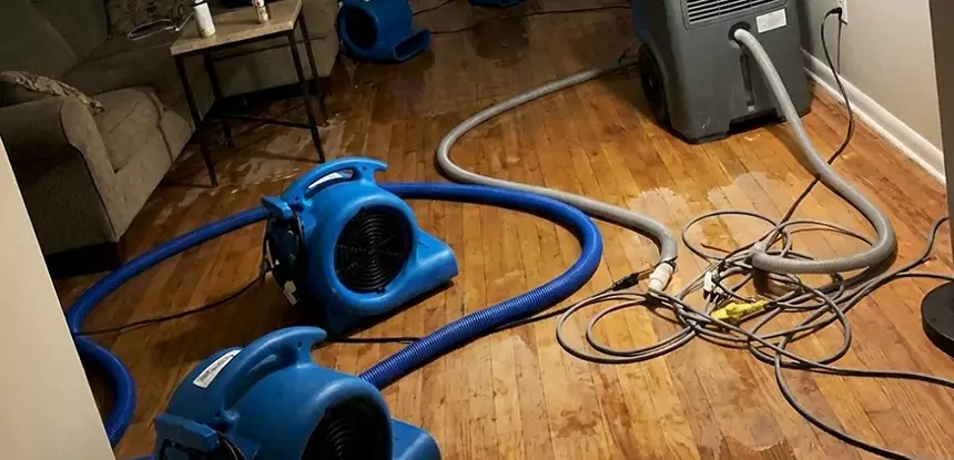 Basement Flood Restoration Services in Suwanee