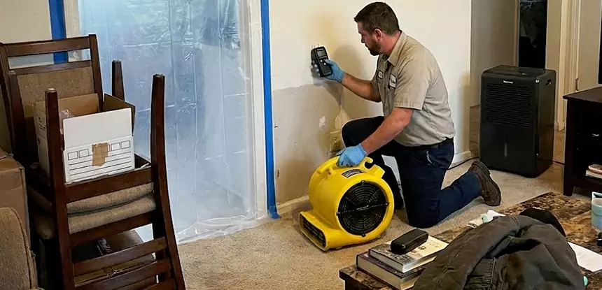 Carpet Water Damage Repair Suwanee