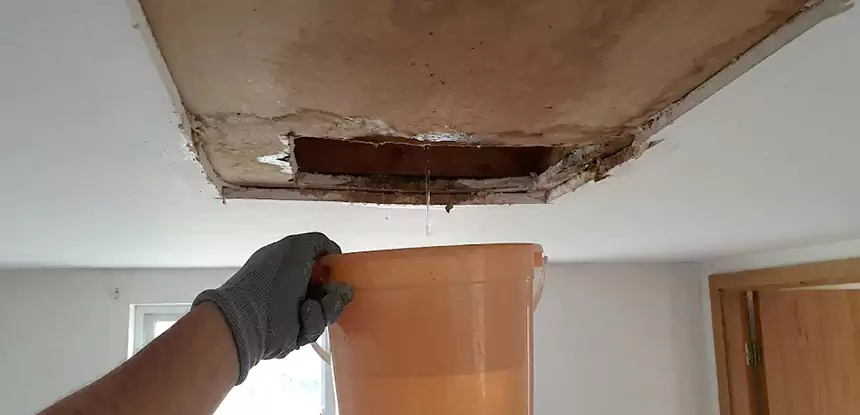 Ceiling Mold Repair Suwanee 