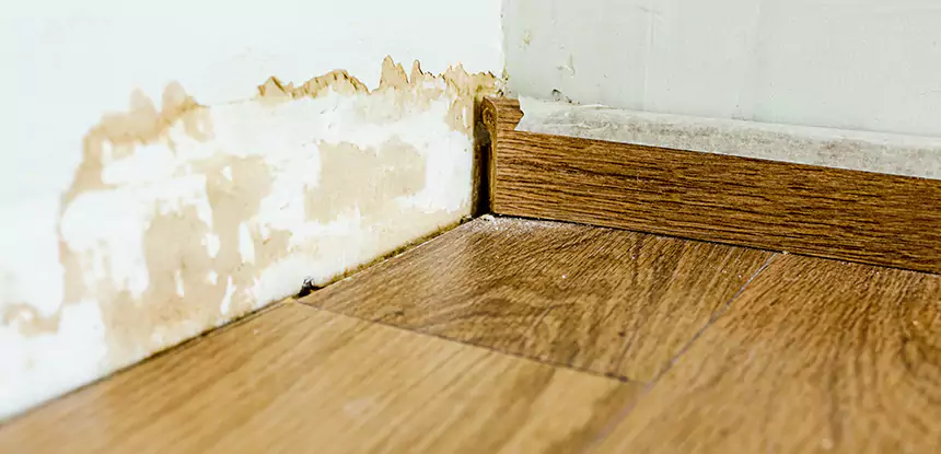 Professional Fix Water Damaged Wood Services in Suwanee, GA