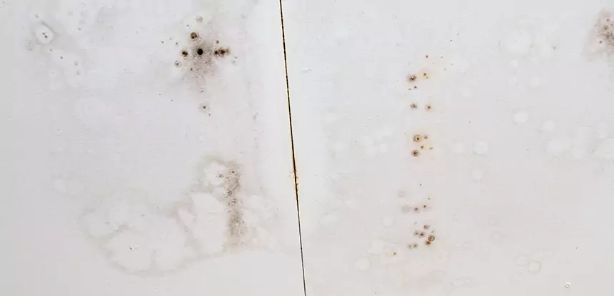 Professional Water Stain Repair Services in Suwanee, GA