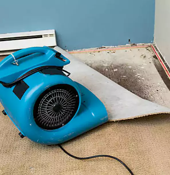 Why Suwanee Trusts Suwanee Restoration Pro for Carpet Flood Recovery?