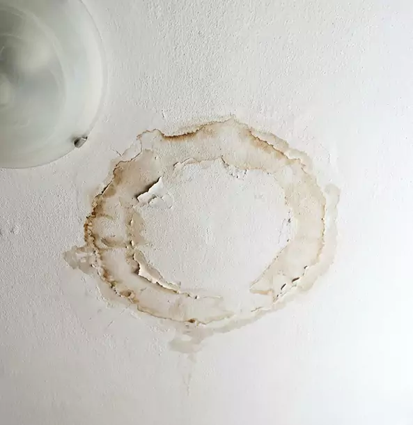 Why Suwanee Property Owners Choose Suwanee Restoration Pro for Ceiling Water Damage Restoration?