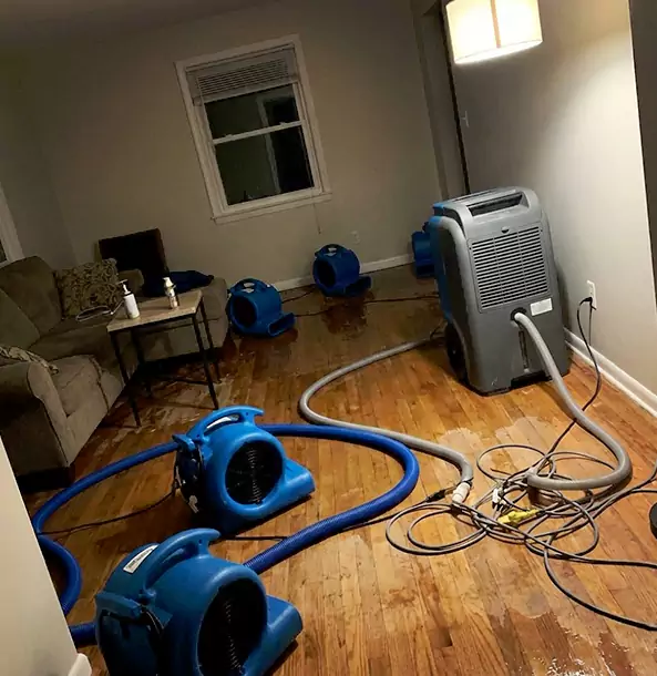 Why Suwanee Property Owners Rely on Suwanee Restoration Pro for Remediation?