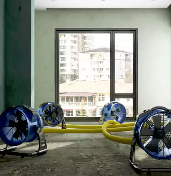 Why Suwanee Property Owners Trust Suwanee Restoration Pro for Water Damage Drying?