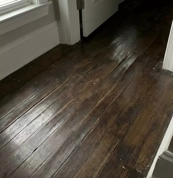 Why Suwanee Homeowners Trust Suwanee Restoration Pro to Fix Water Damaged Wood?