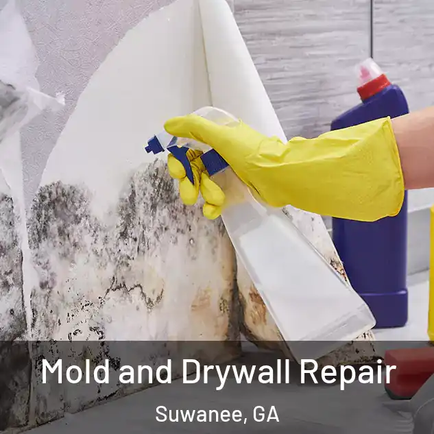  Mold and Drywall Repair Suwanee, GA