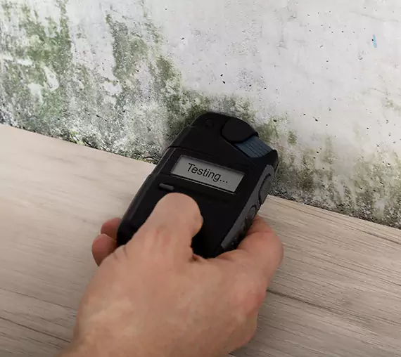 Mold Remediation Service Suwanee