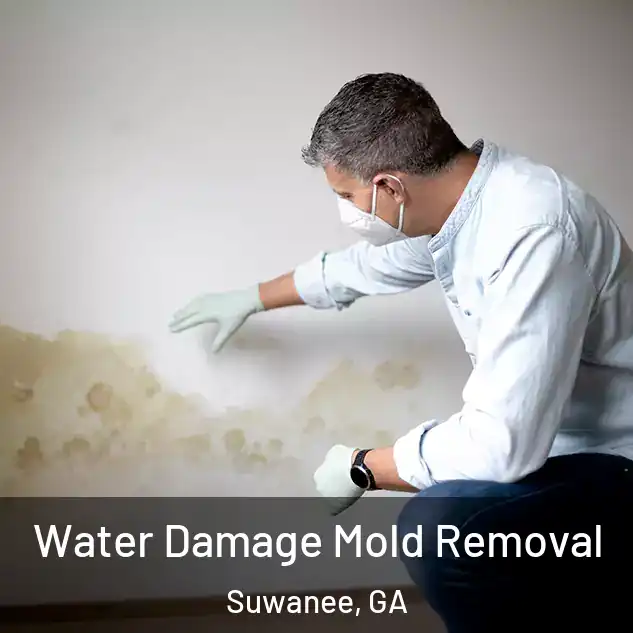  Water Damage Mold Removal Suwanee, GA